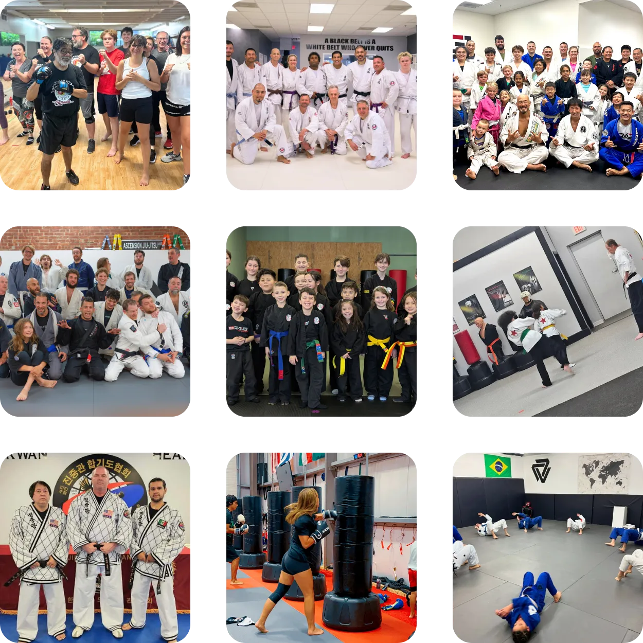 Real results from martial arts school owners